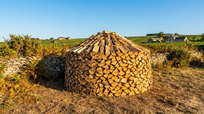 Un empilement circulaire de bûches de bois séchant au soleil dans un champ rural sous un ciel bleu dégagé.