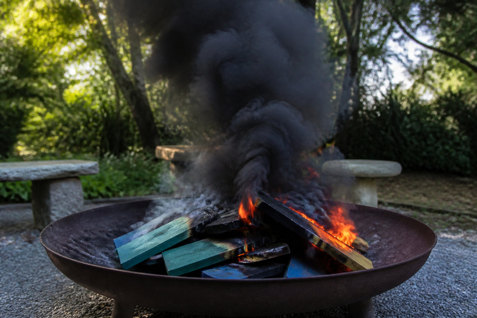 Pourquoi certains bois sont-ils toxiques pour la cuisson ?