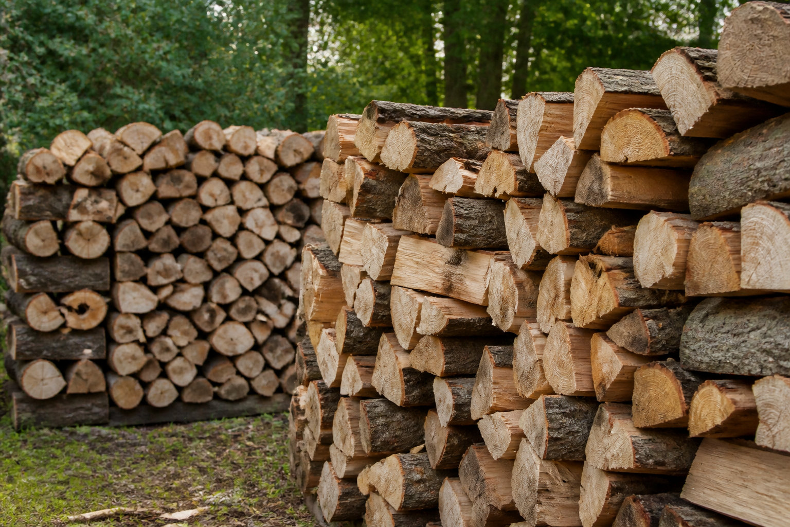 Sélection des essences et performance calorifique de votre bois