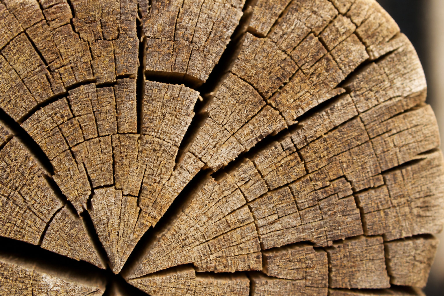 3 indicateurs pour reconnaître un bois prêt à brûler