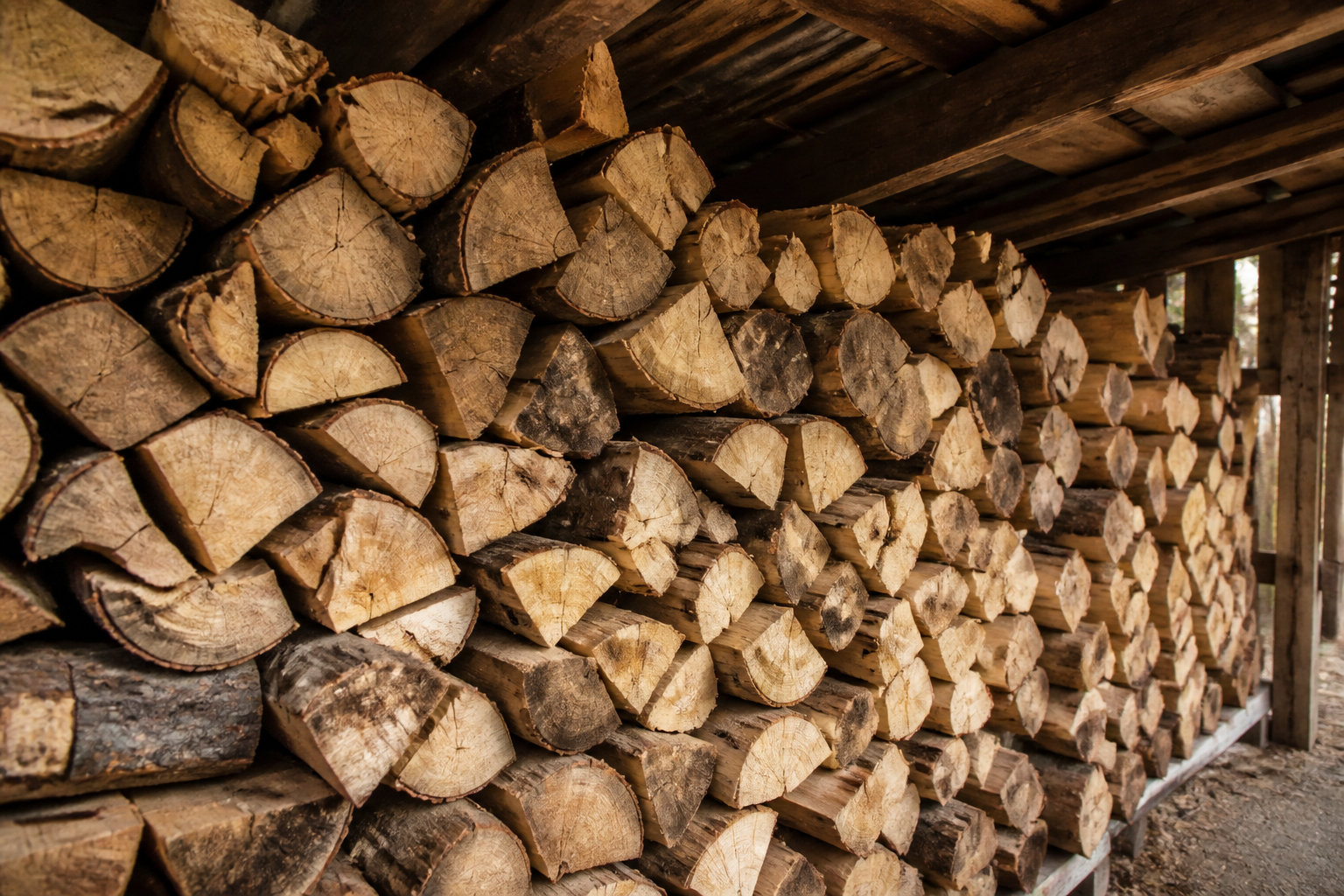 Comment sélectionner votre bois de chauffage à Lisle-sur-Tarn ?